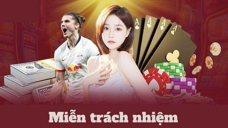 Mục đích chính sách miễn trừ trách nhiệm VN86