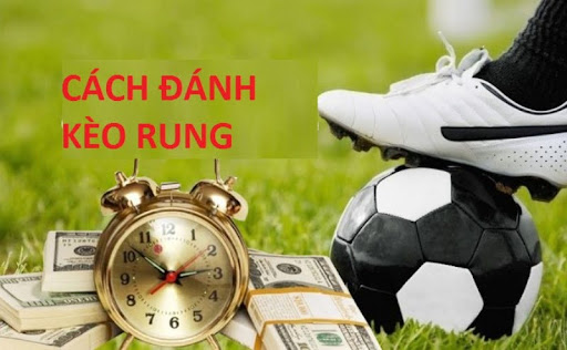 Cách đặt cược kèo rung